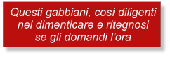 Questi gabbiani, cos diligenti nel dimenticare e ritegnosi se gli domandi l'ora